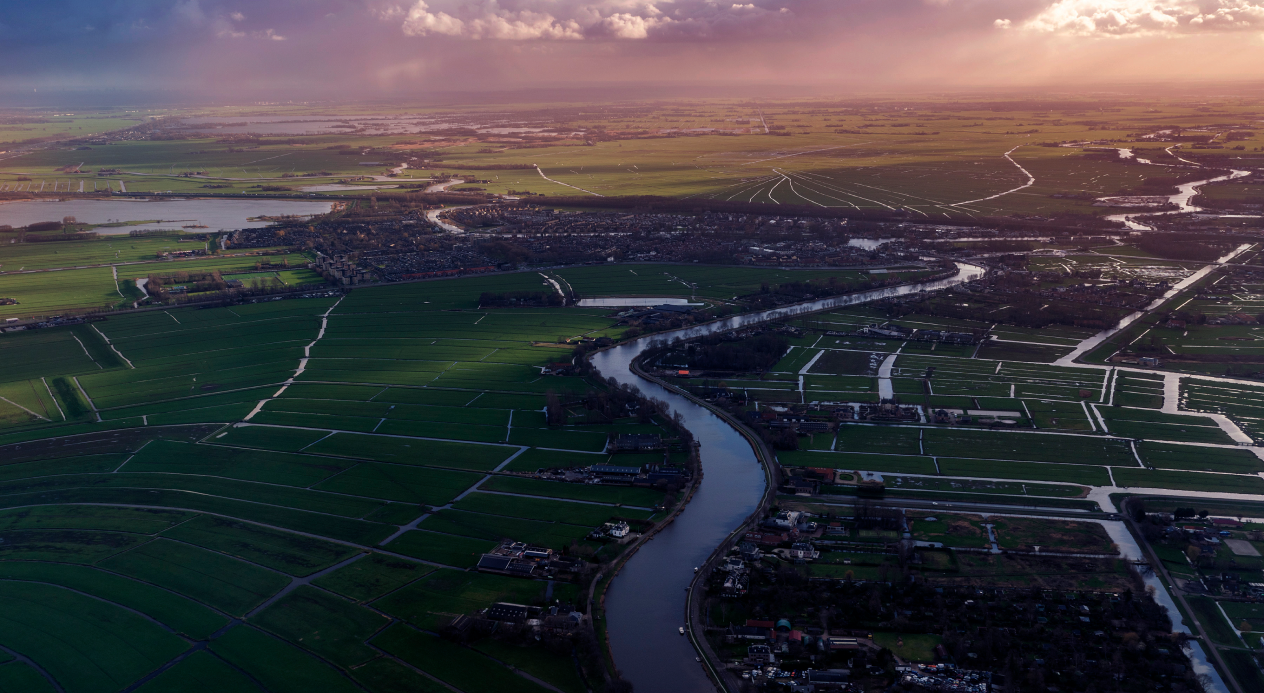 Projectmanager Mercury