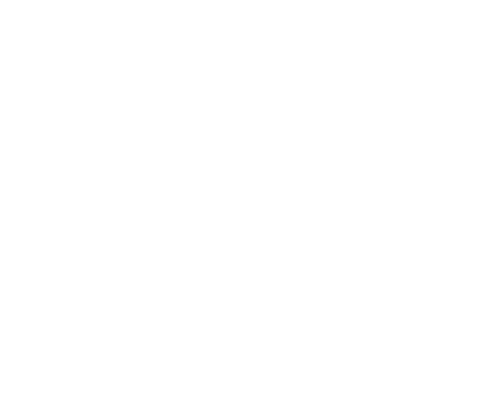 TriForge Projects