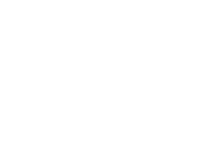 TriVision Consultancy