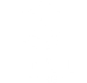 TriVolt Energy